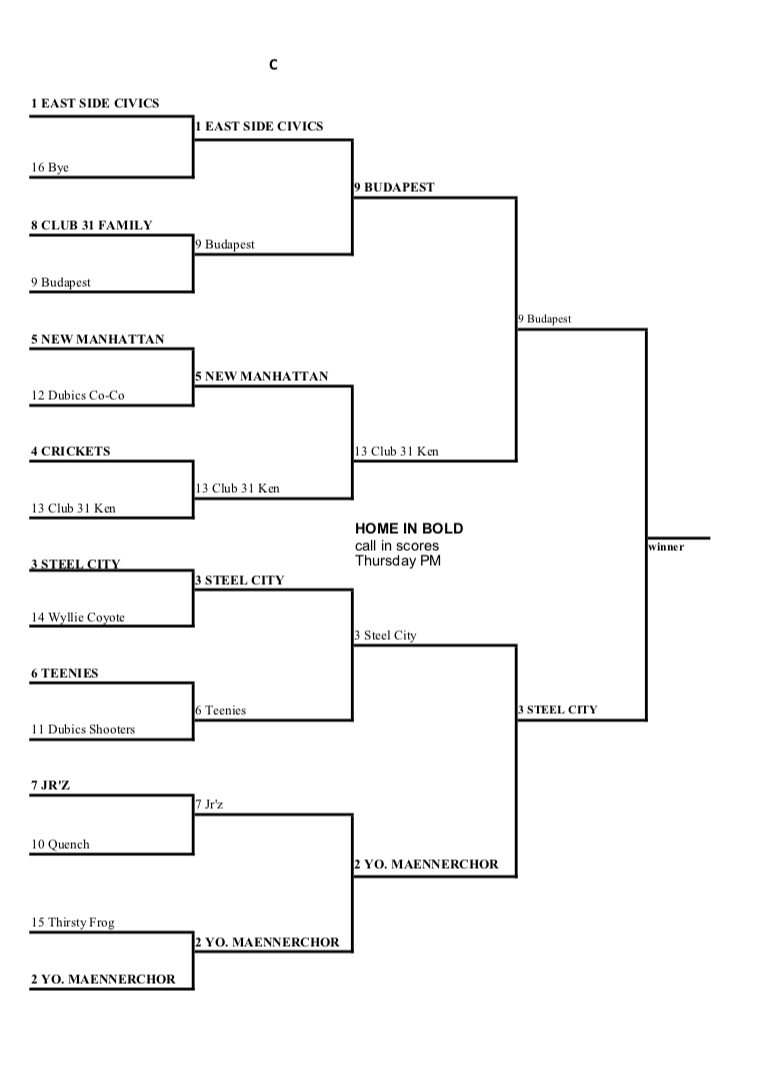 playoff-brackets-youngstown-dart-association