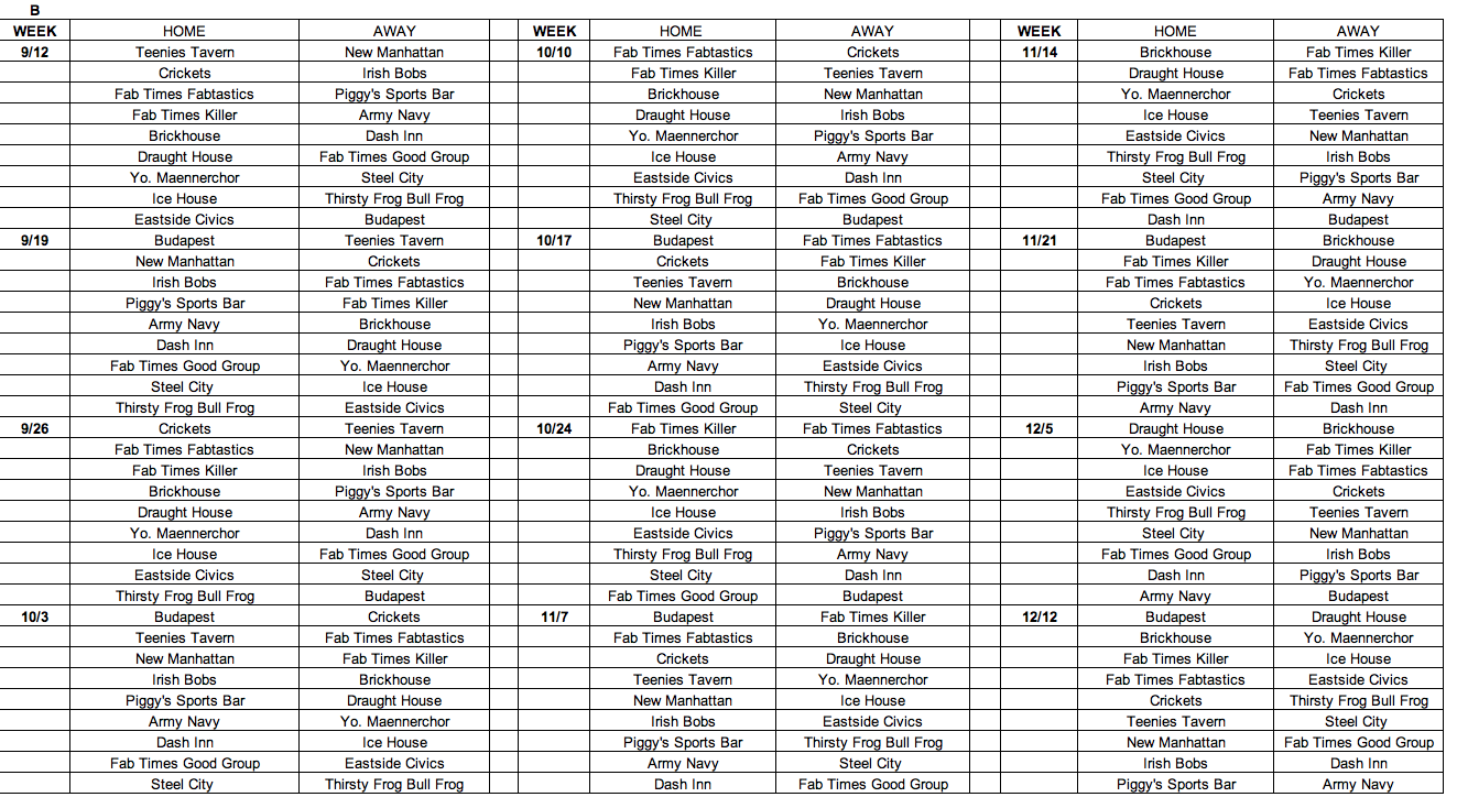 Schedules Youngstown Dart Association